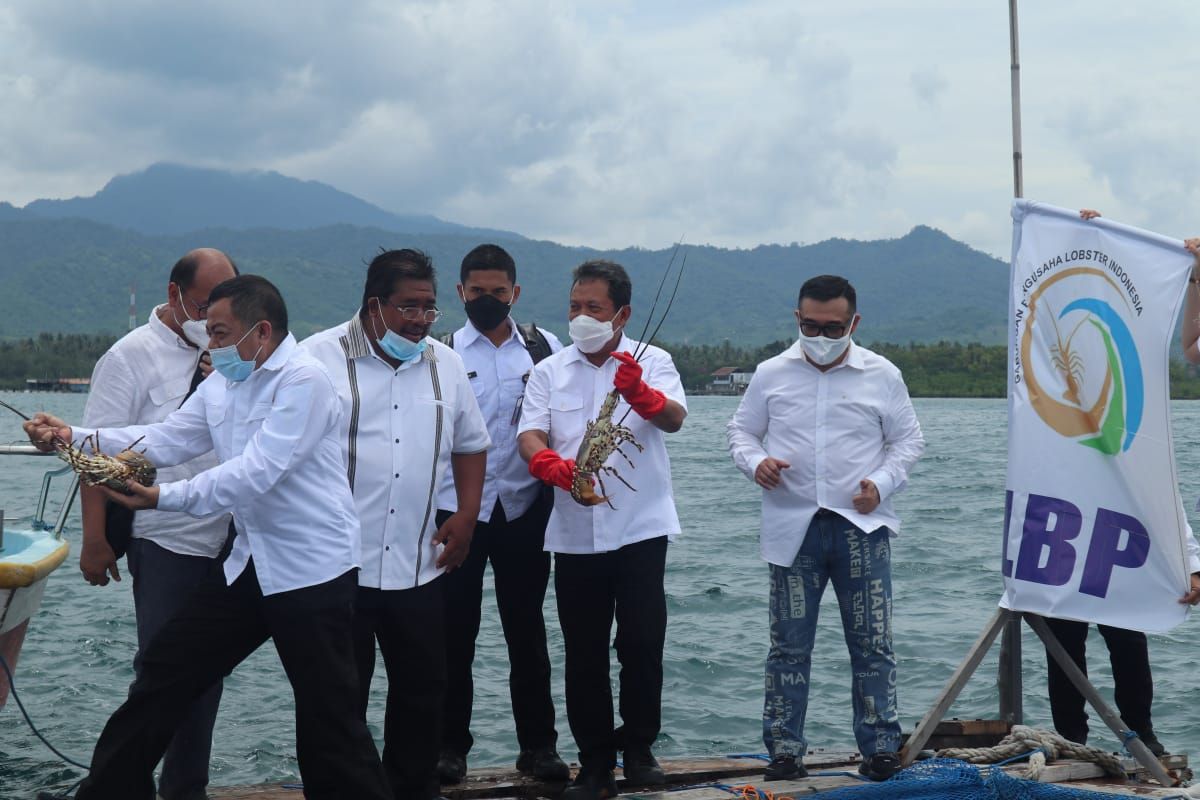 podiumnews.com-Menteri KKP Lepas Ekspor Perdana Lobster Budidaya GPLI di Bali